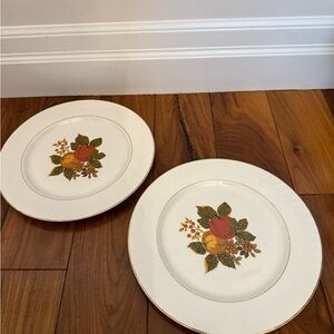 Wedgwood Cream Dinner Plates with Fruit Design English harvest